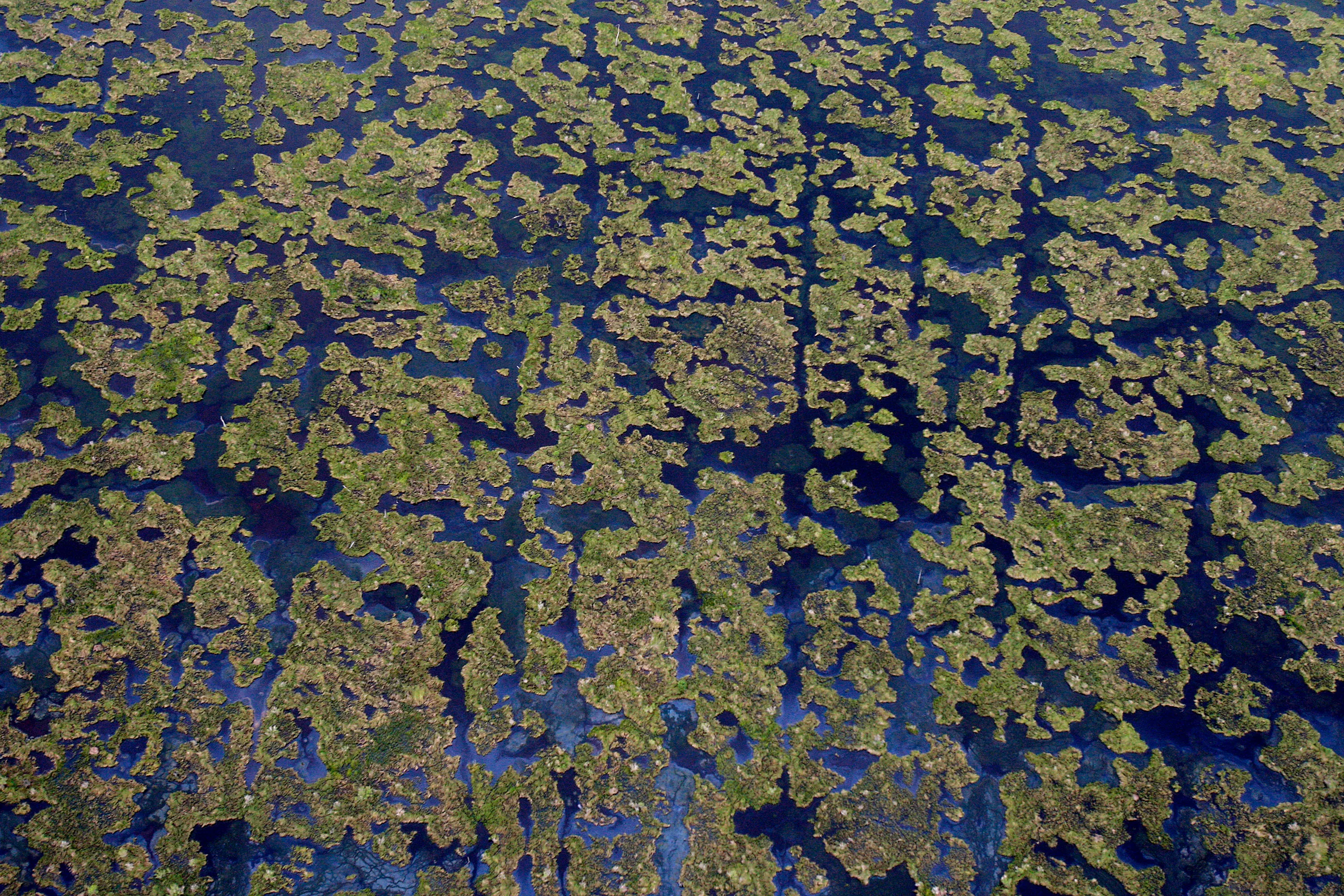 FILE – Wetlands are seen from a helicopter on the Louisiana coast on July 10, 2010. (AP Photo/Patrick Semansky, File)