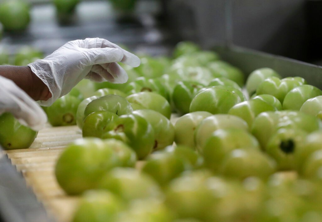 In this, Wednesday, Feb. 5, 2020 photo a worker sorts through tomatoes after they are washed before being inspected and packed, in Florida City, Fla. (AP Photo/Wilfredo Lee)