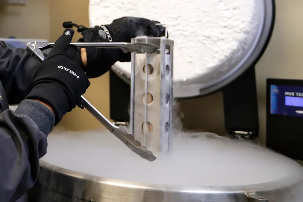 FILE – A container with frozen embryos and sperm stored in liquid nitrogen is removed at a fertility clinic in Fort Myers, Fla., Oct. 2, 2018. (AP Photo/Lynne Sladky, File)