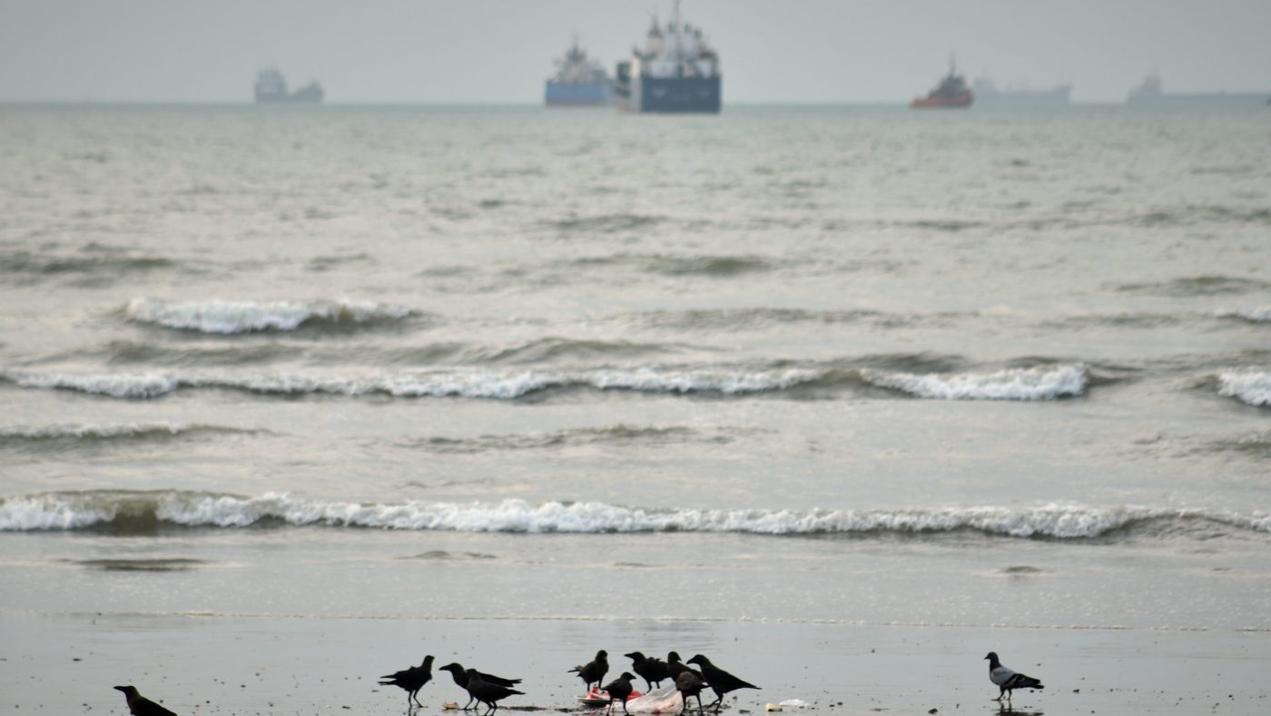 Birds gather around litter on a beach as commercial vessels lie anchored in the Strait of Hormuz off Bandar Abbas, Iran, Sept. 2, 2026.