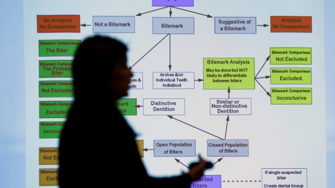 Lynn Garcia uses a chart as she takes part in a Texas Forensic Science Commission meeting to consider recommendations against using bite mark analysis in criminal cases, Thursday, Feb. 11, 2016, in Austin, Texas. The commission moved forward with the recommendation that bite mark evidence not be used pending further research. (AP Photo/Eric Gay)