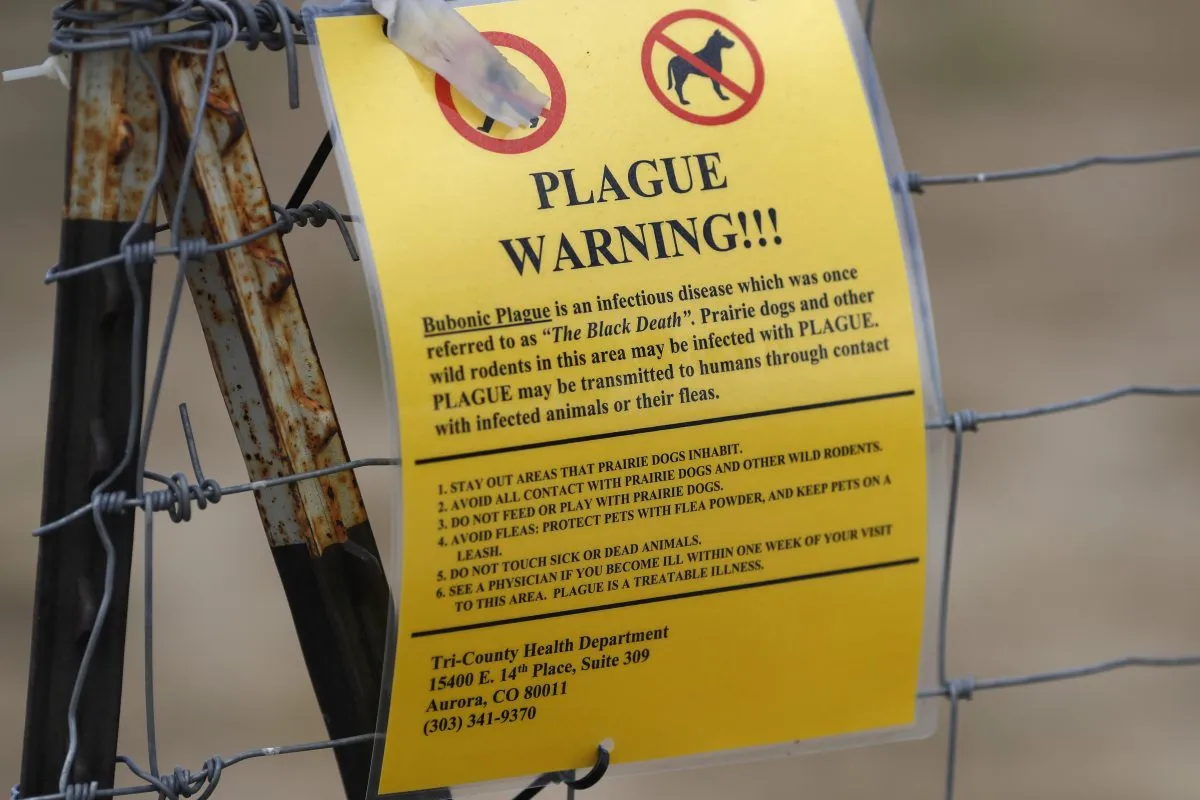 FILE – A sign warning of bubonic plague is displayed at a parking lot near the Rocky Mountain Arsenal Wildlife Refuge in Commerce City, Colo., Aug. 10, 2019. (AP Photo/David Zalubowski, File)