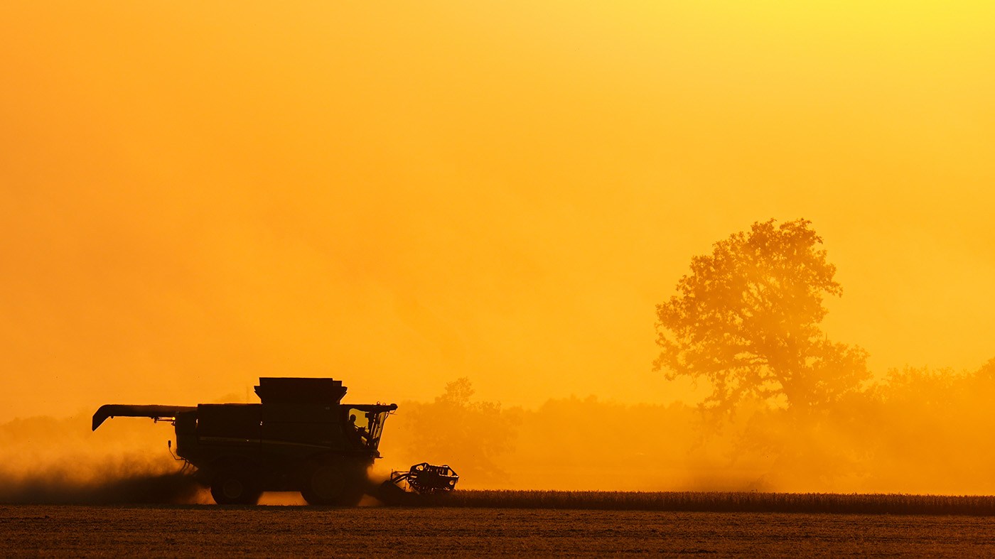 Soybeans are harvested on the Warpup Farm in Warren, Ind., on Sept. 17, 2025.