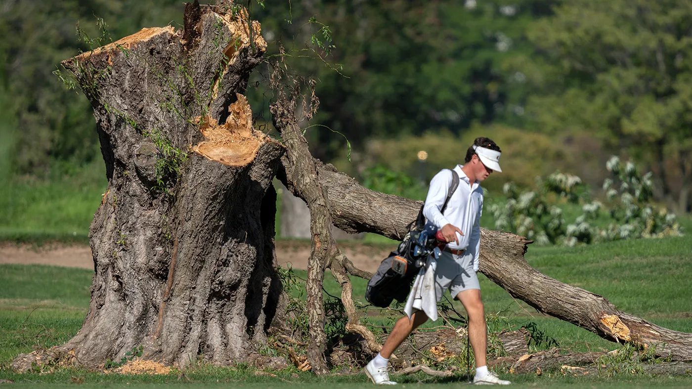 A golfer walks past the stump of a large tree at the East Potomac Golf Links, Monday, Oct. 12, 2026, in Washington.