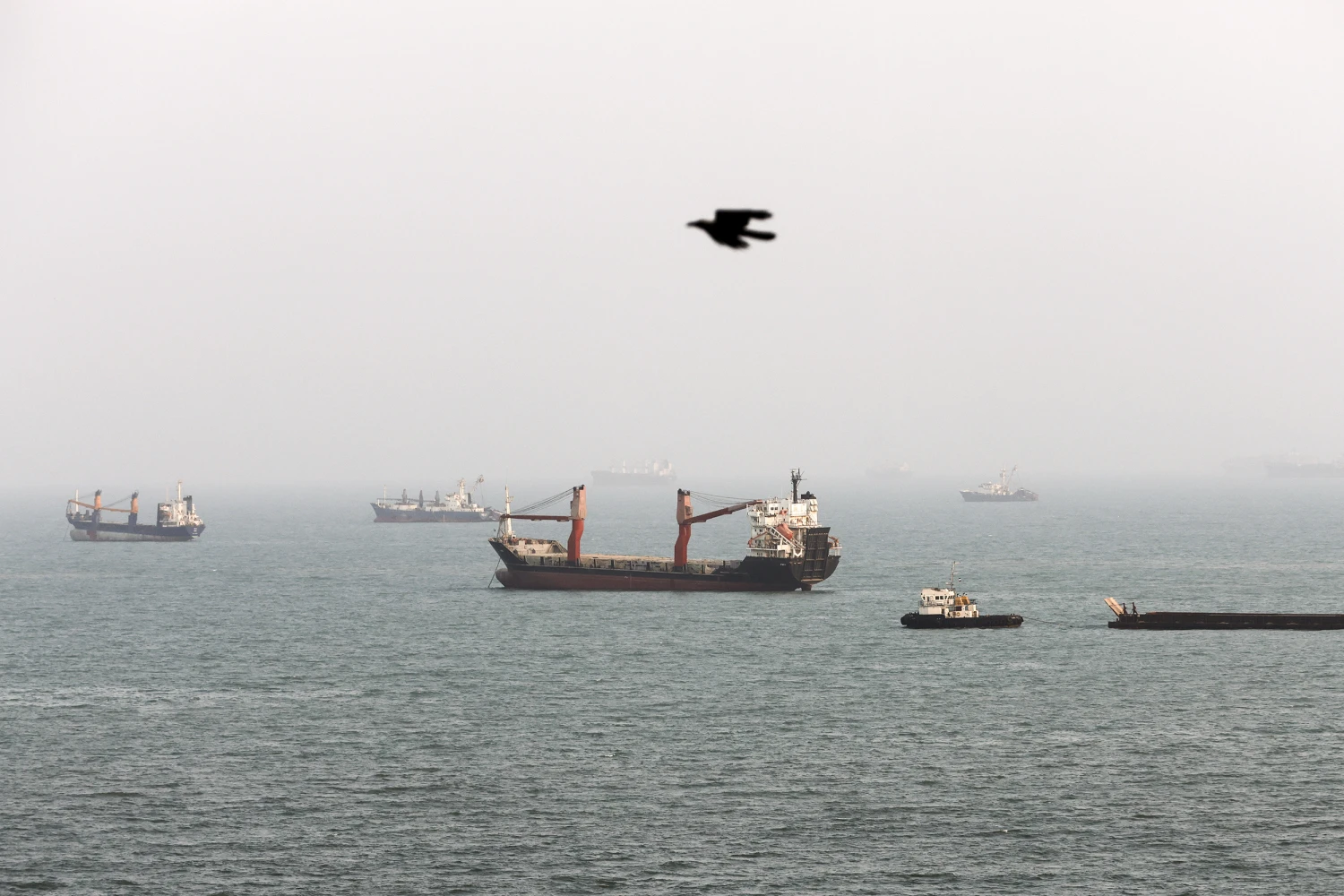 A bird flies past as ships are seen anchored in the Strait of Hormuz on August 10, 2026 off the coast of Bandar Abbas, Iran.