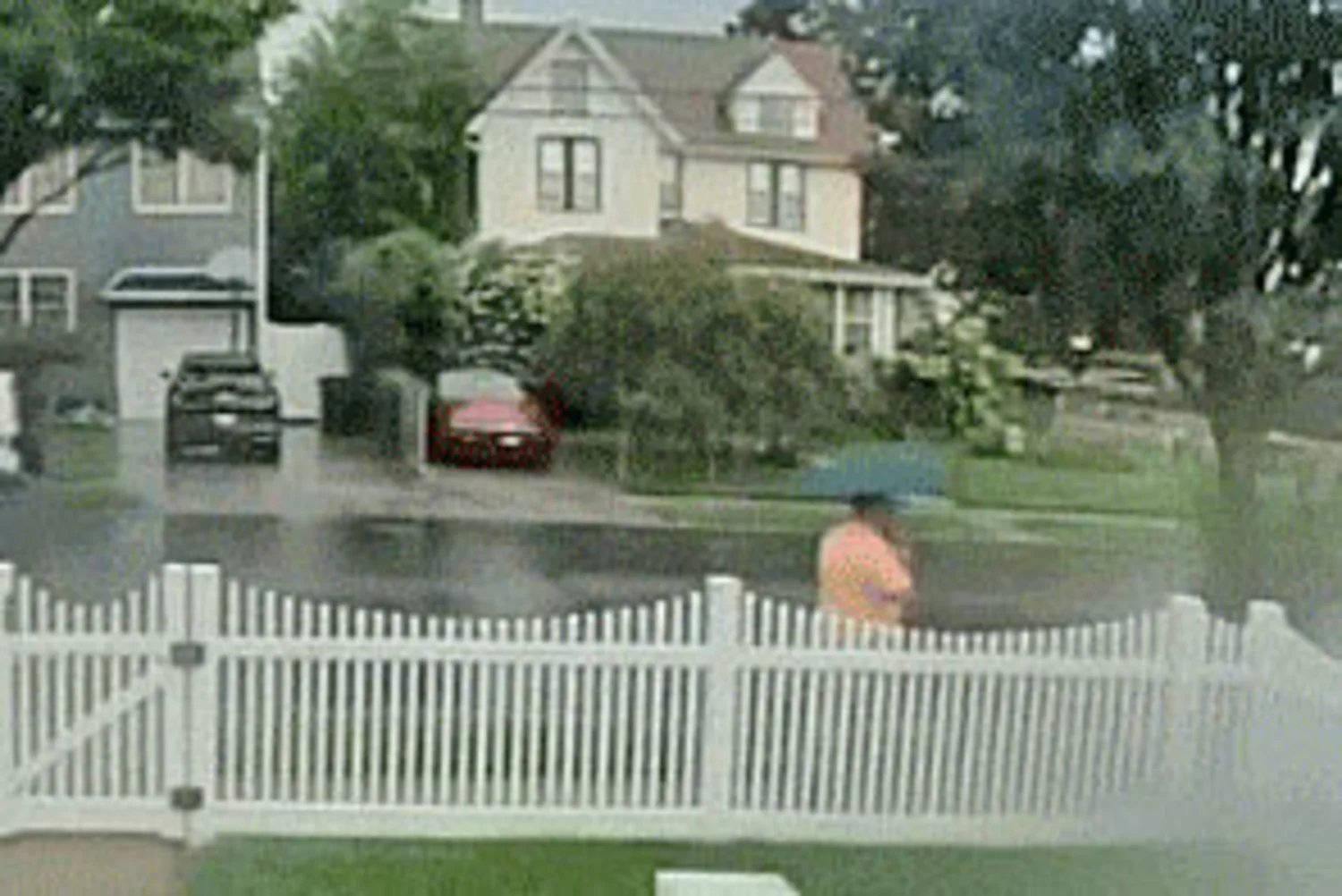 Thomas Fahmy said he was walking along Todt Hill Road near Windsor Road as severe weather rolled through when he was struck.