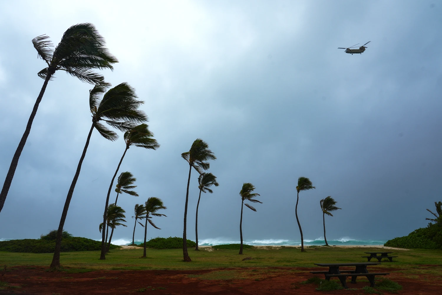 Palm trees bend from strong winds as an CH-47 Chinook helicopter flies over Barbers Point in Kapolei, Hawaii, on September 7, 2026.