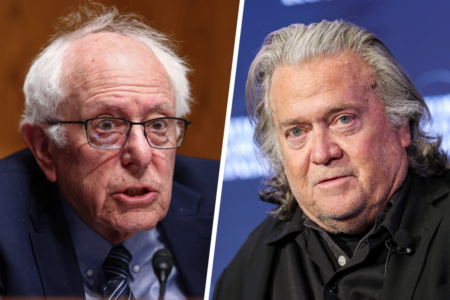 Bernie Sanders and Steve Bannon.