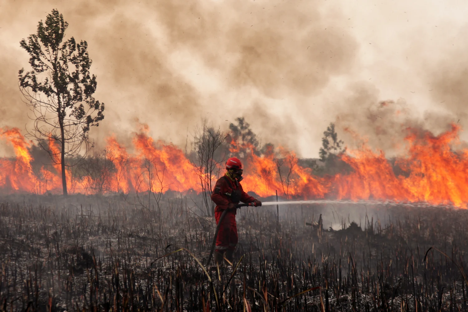 An Indonesian firefighter from Manggala Agni works to extinguish wildfires in Sungai Rambutan, Ogan Ilir Regency, South Sumatra, Indonesia, on September 12, 2026.