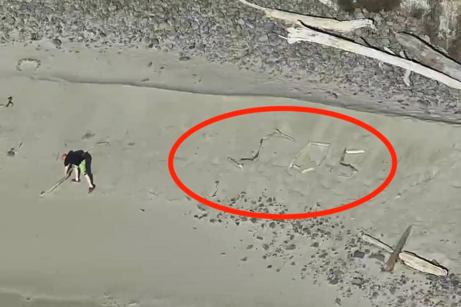 A group of tourists looking for a photo opportunity ended up stranded on a secluded beach in Tillamook, Ore.