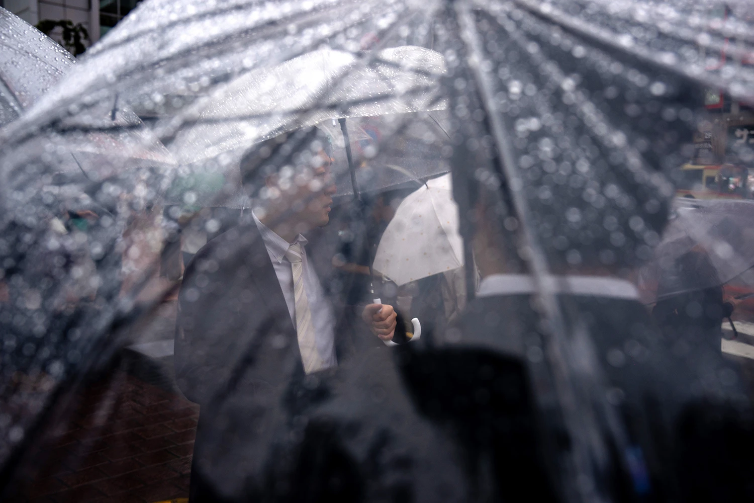 Pedestrians shield themselves from heavy rain in Tokyo as Typhoon Dujuan approaches on Sept. 21, 2026.