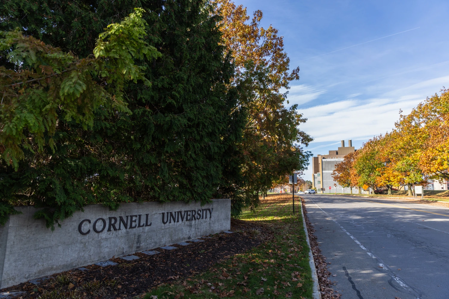 A view of one of the entrances to the Cornell University campus on Nov., 03, 2023 in Ithaca, N.Y.
