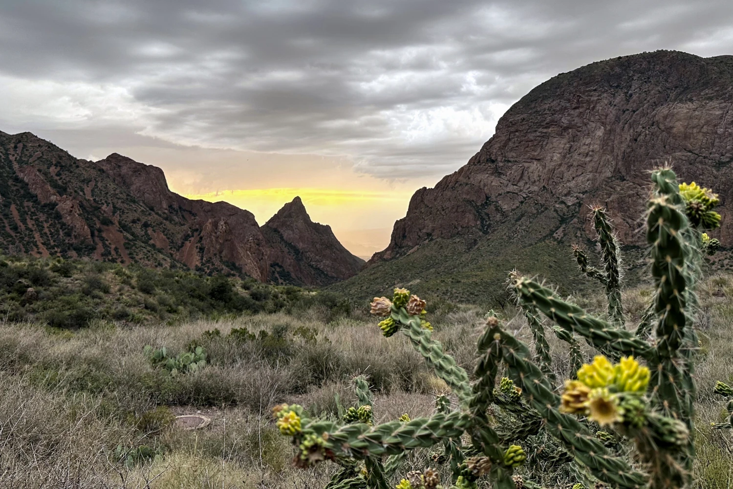 Much of the opposition has been geared around Customs and Border Protection’s plans for inside the Big Bend National Park, which is prized for its beautiful landscapes, limestone cliffs and crystal clear night sky views.