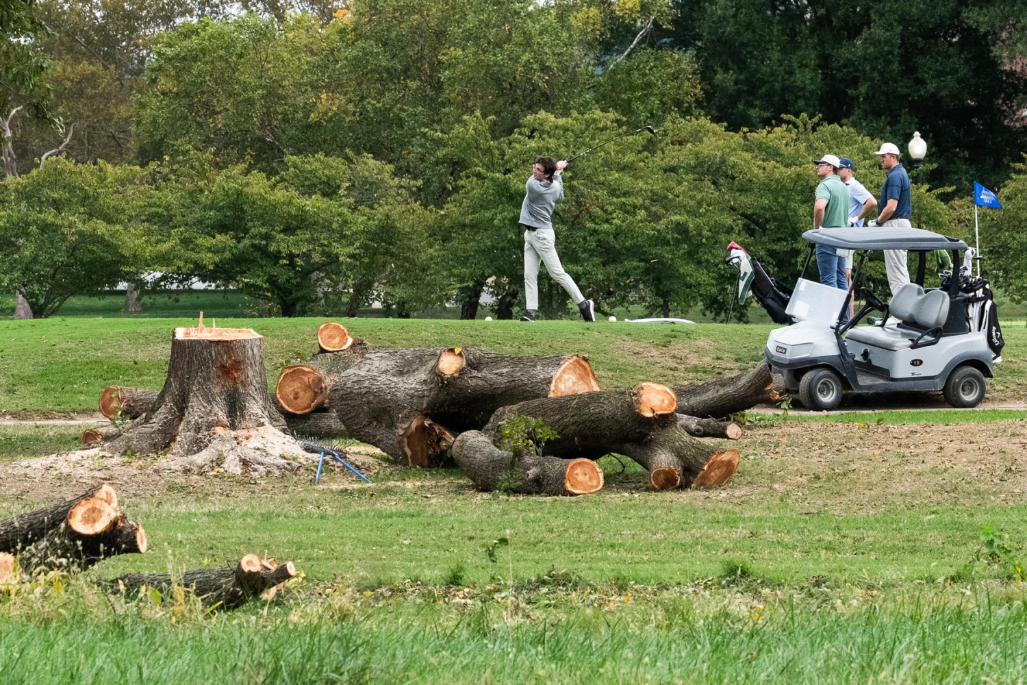 Felled trees are visible on East Potomac Golf Course on Oct. 10, 2026 in Washington, D.C. The National Park Service confirmed in a filing they had marked over 500 trees for removal as the Trump Administration mulls over a renovation for the golf course.