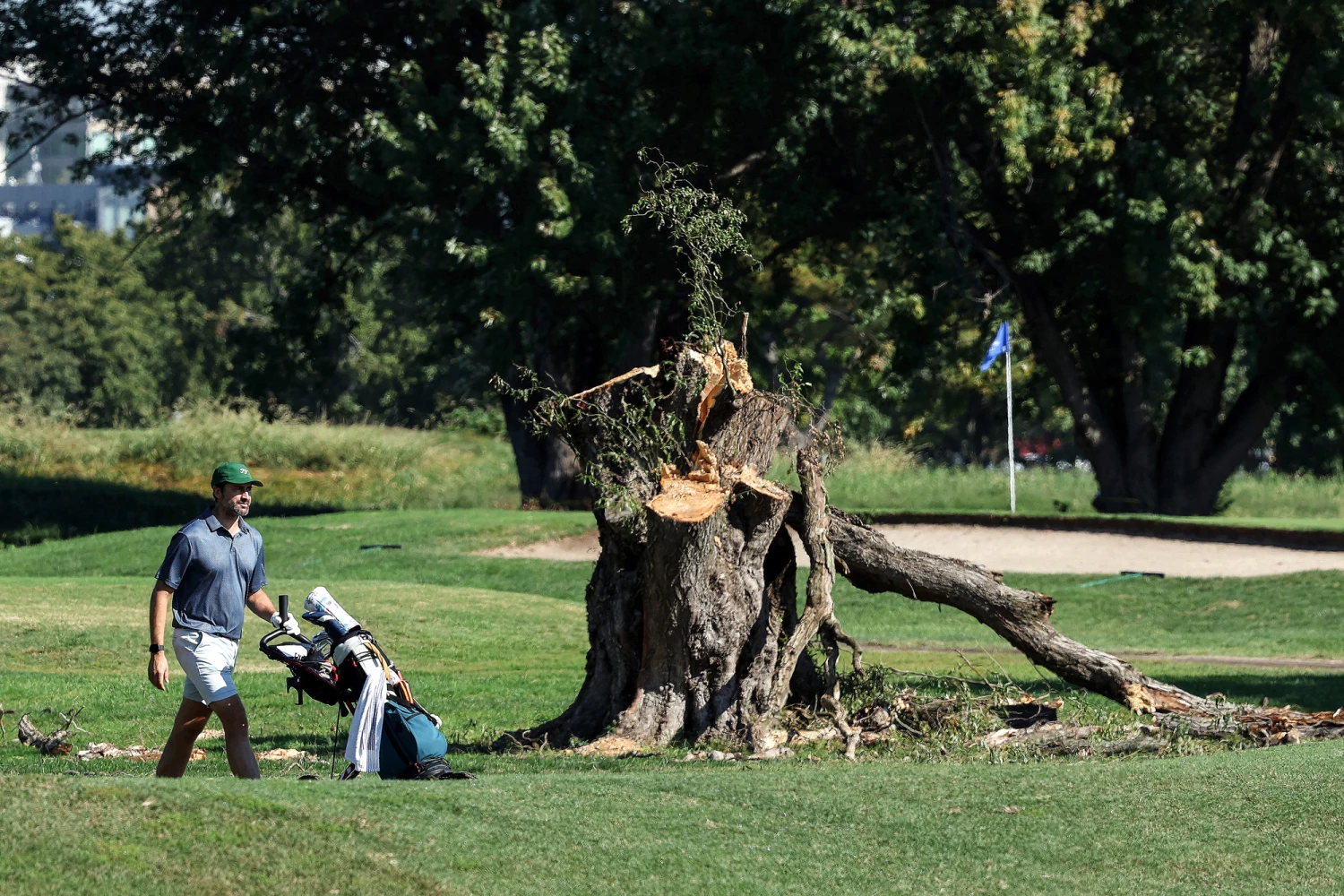 A golfer pushes their bag cart past a stump on East Potomac Golf Course on Oct. 13, 2026 in Washington, D.C. A federal judge has ordered a halt on tree removal at East Potomac Golf Course after the Trump administration cut down at least 430 trees over the weekend.