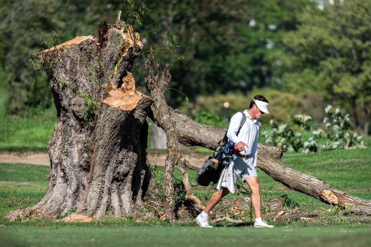 A golfer walks past the stump of a large tree at East Potomac Golf Links on Oct. 12.