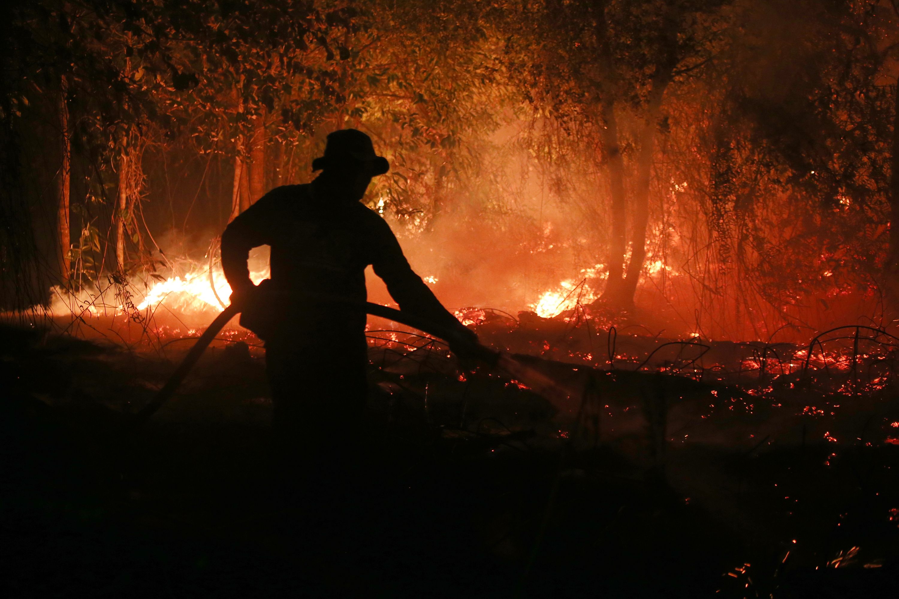 A firefighter sprays water in an attempt to extinguish a wildfire burning through a peatland forest in Pulang Pisau, Central Kalimantan, Indonesia, Saturday, Sept. 5, 2026. (AP Photo/Regina Safri)