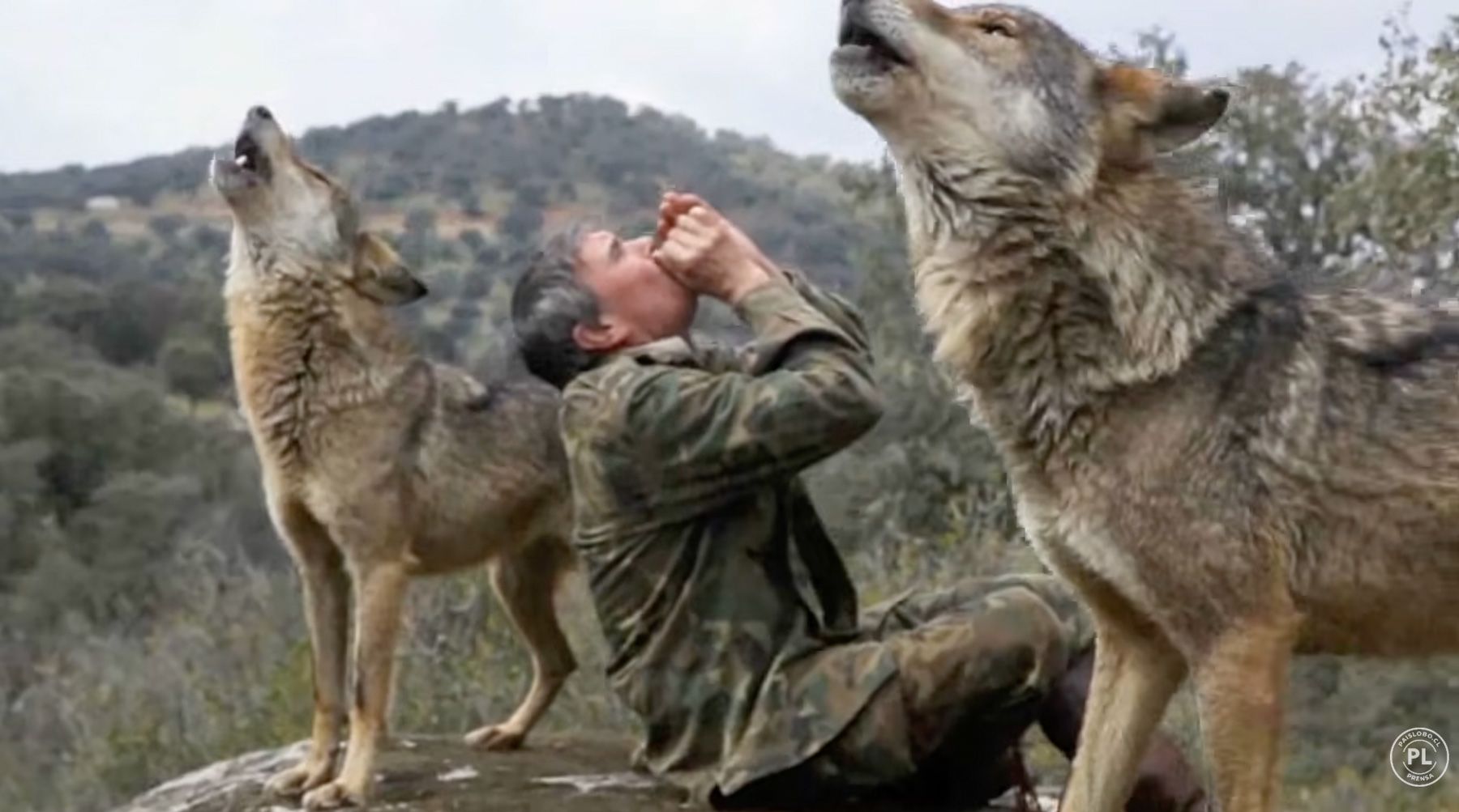 A screenshot from a documentary that Paislobo Prensa published about Marcos Rodríguez Pantoja, the boy raised by wolves in Spain. Director Gerardo Olivares got Pantoja to tell his story in a series of filmed interviews. Pantoja has died at the age of 80.
