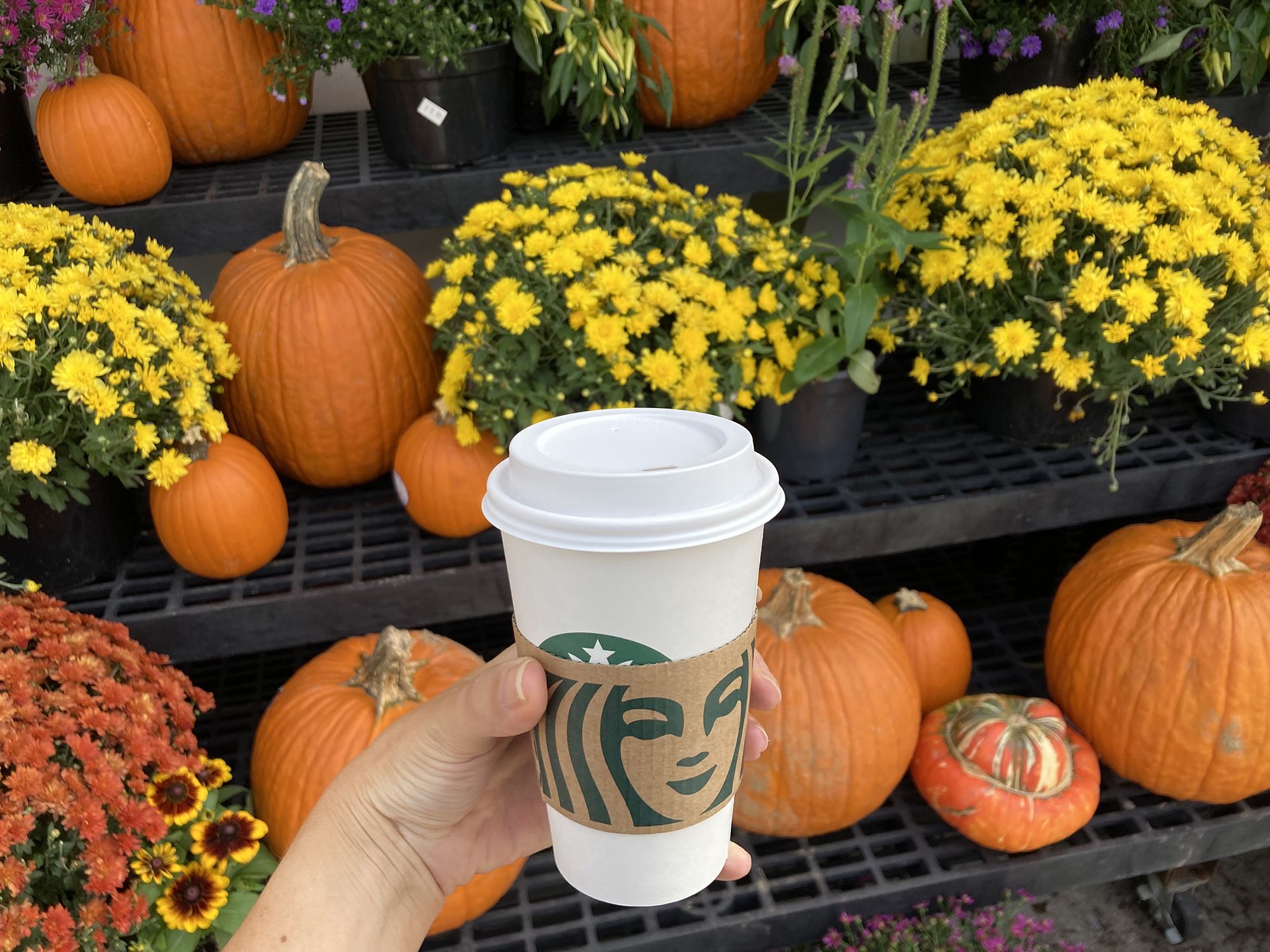 A Starbucks Pumpkin Spice Latte. The coffee chain's fall favorite returns to shops on Tuesday.