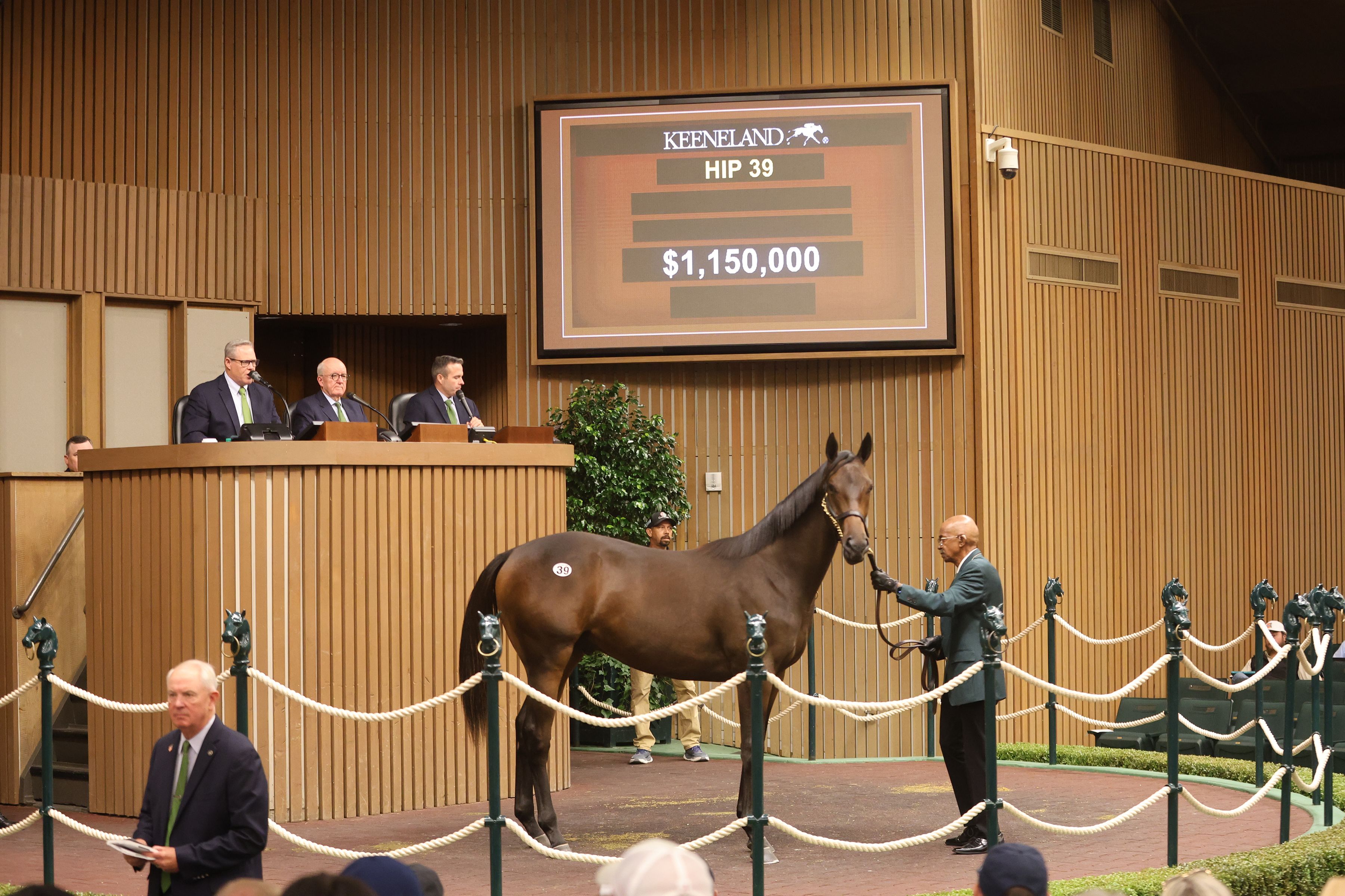 A horse labeled as Hip 39 is auctioned at the September Yearling Sale at the Keeneland Racetrack in Lexington, Kentucky.