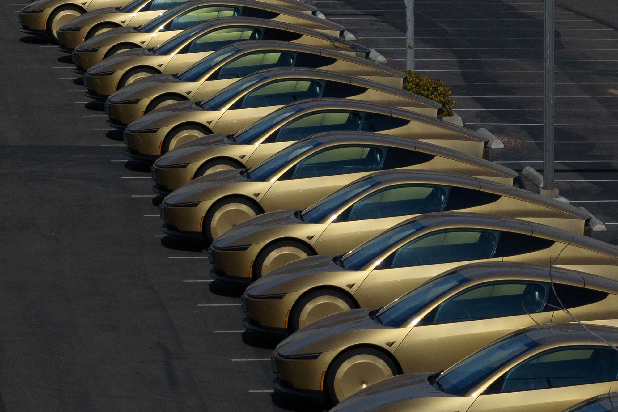 Gold-colored Tesla Cybercabs are in a parking lot in San Diego, California, on August 12, 2026.