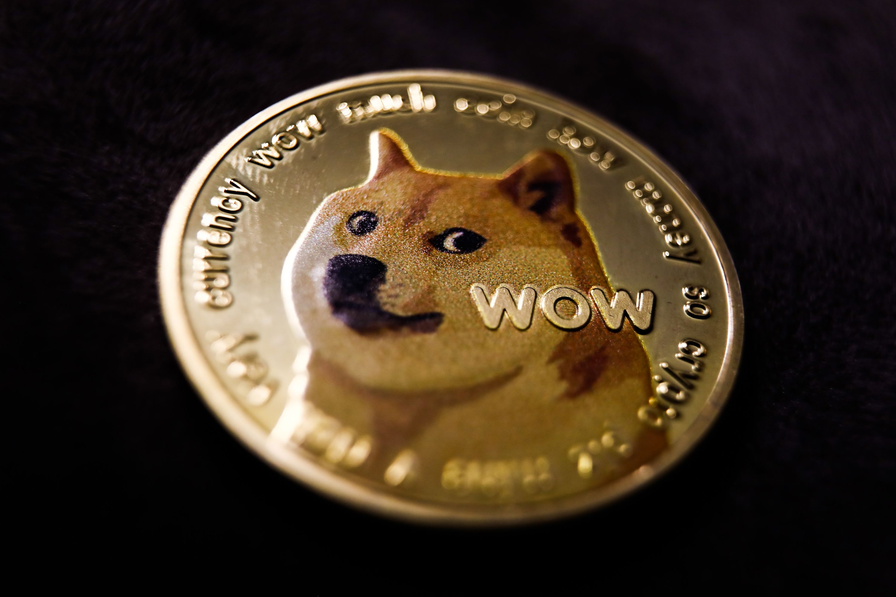 Representation of Dogecoin cryptocurrency is seen in this illustration photo taken in Krakow, Poland on January 6, 2022. 